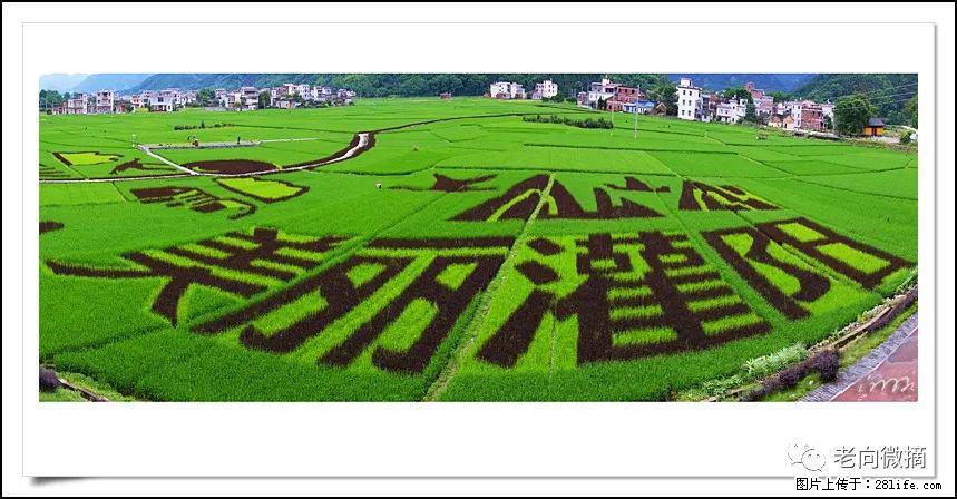 【春天,广西桂林灌阳县向您发出邀请!】开篇 - 游山玩水 - 咸阳生活社区 - 咸阳28生活网 xianyang.28life.com