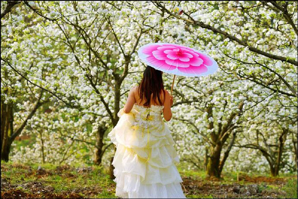 【春天，广西桂林灌阳县向您发出邀请！】我们在灌阳看梨花 - 游山玩水 - 咸阳生活社区 - 咸阳28生活网 xianyang.28life.com