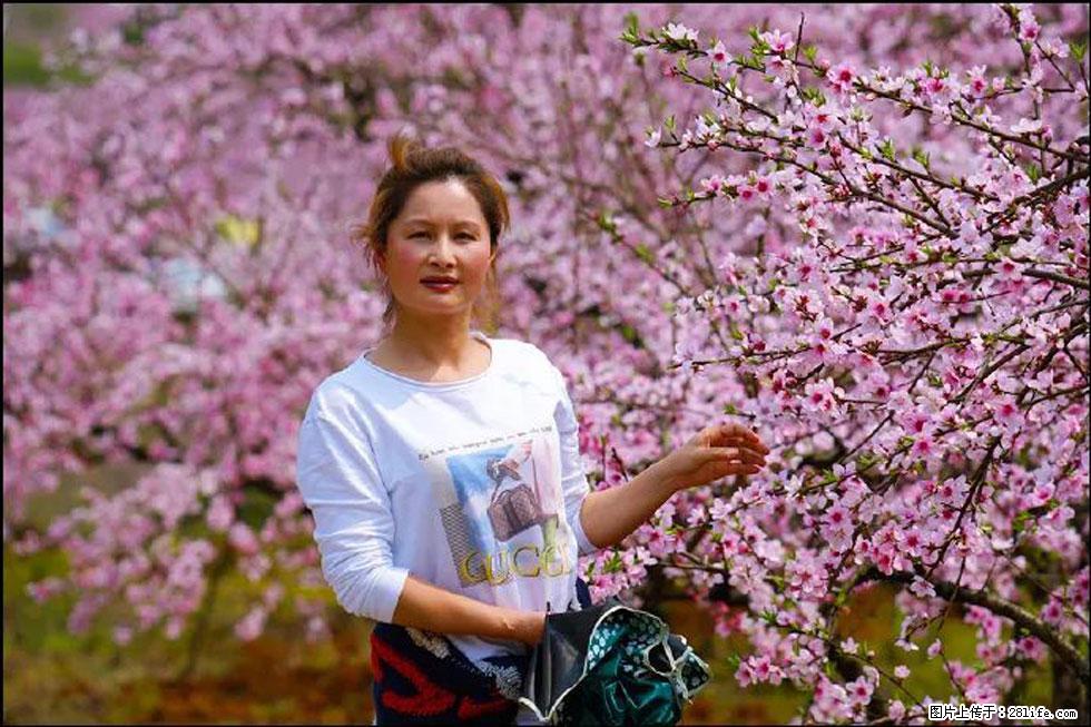 【春天,广西桂林灌阳县向您发出邀请!】官庄村有个醉美的桃花园 - 游山玩水 - 咸阳生活社区 - 咸阳28生活网 xianyang.28life.com