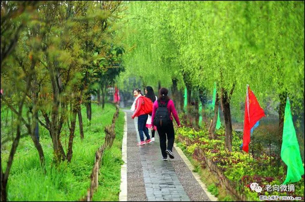 【春天,广西桂林灌阳县向您发出邀请!】江口老街又逢春 - 游山玩水 - 咸阳生活社区 - 咸阳28生活网 xianyang.28life.com