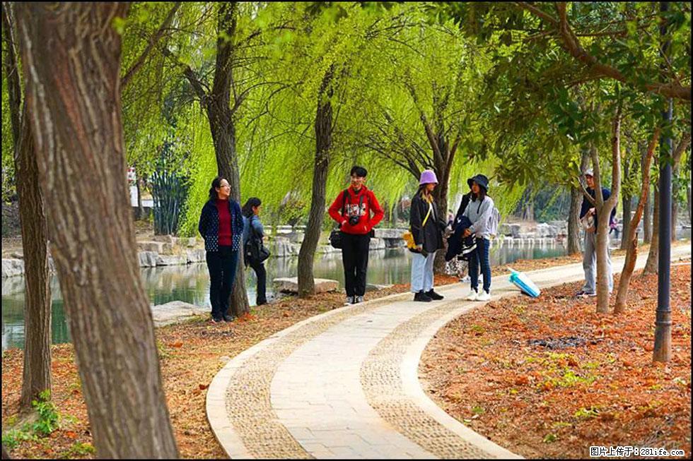 【春天,广西桂林灌阳县向您发出邀请!】江口老街又逢春 - 游山玩水 - 咸阳生活社区 - 咸阳28生活网 xianyang.28life.com