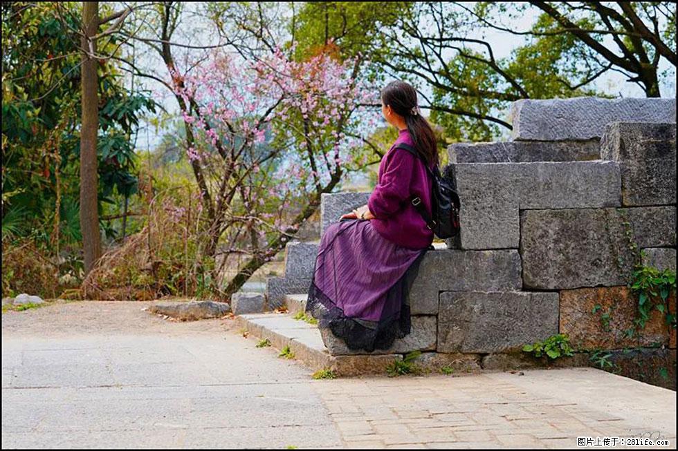 【春天,广西桂林灌阳县向您发出邀请!】江口老街又逢春 - 游山玩水 - 咸阳生活社区 - 咸阳28生活网 xianyang.28life.com