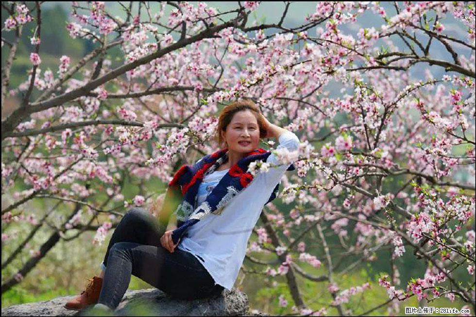 【春天，广西桂林灌阳县向您发出邀请！】望月岭上桃花开 - 游山玩水 - 咸阳生活社区 - 咸阳28生活网 xianyang.28life.com