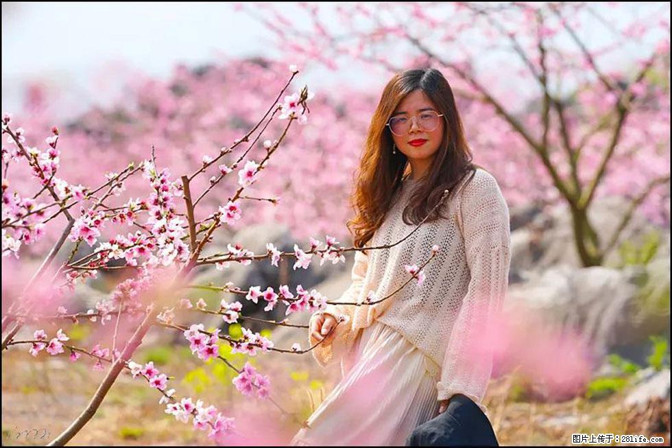 【春天，广西桂林灌阳县向您发出邀请！】望月岭上桃花开 - 游山玩水 - 咸阳生活社区 - 咸阳28生活网 xianyang.28life.com