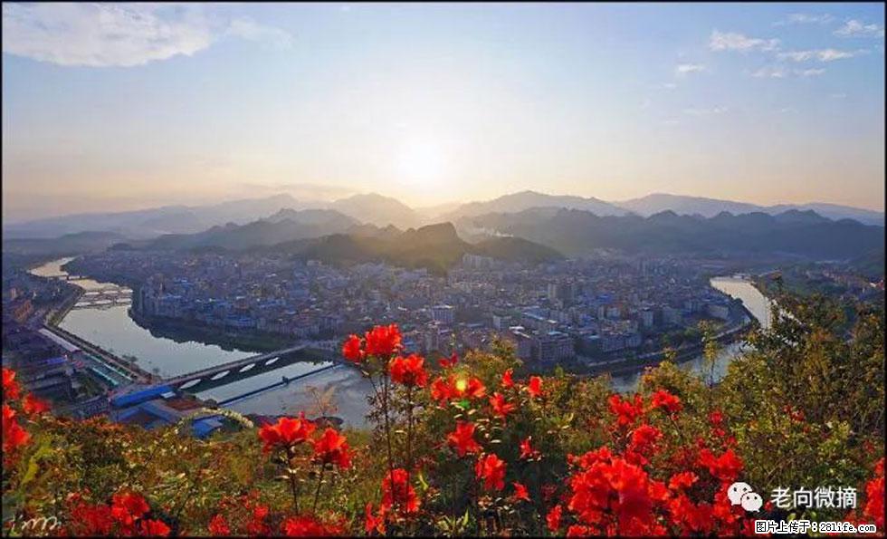 【春天,广西桂林灌阳县向您发出邀请!】登麒麟山,相约映山红 - 游山玩水 - 咸阳生活社区 - 咸阳28生活网 xianyang.28life.com