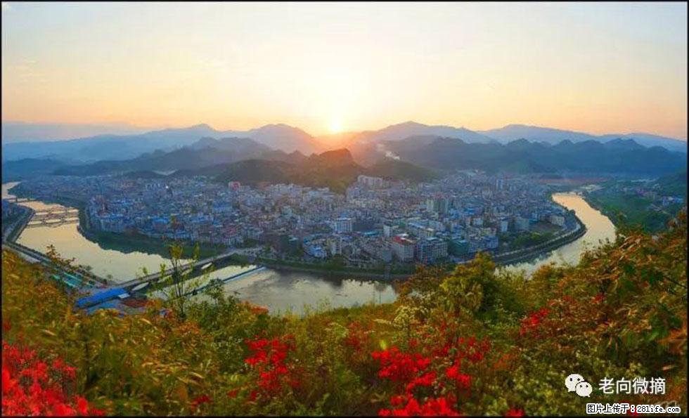 【春天,广西桂林灌阳县向您发出邀请!】登麒麟山,相约映山红 - 游山玩水 - 咸阳生活社区 - 咸阳28生活网 xianyang.28life.com