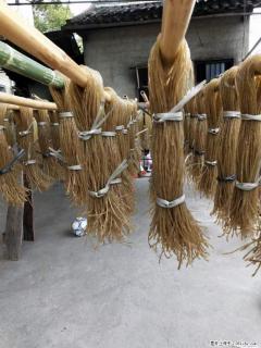 【灌阳正宗红薯粉】美女家里自己做的，干净卫生，假一赔十，价格合理，抢购电话：13737312895 - 咸阳28生活网 xianyang.28life.com