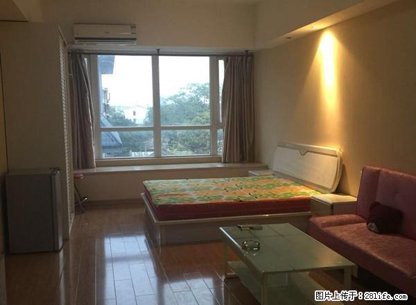 人民中路 开元商场附近 中央领域 精装温馨一居室 拎包即住 - 房屋出租 - 房屋租售 - 咸阳分类信息 - 咸阳28生活网 xianyang.28life.com