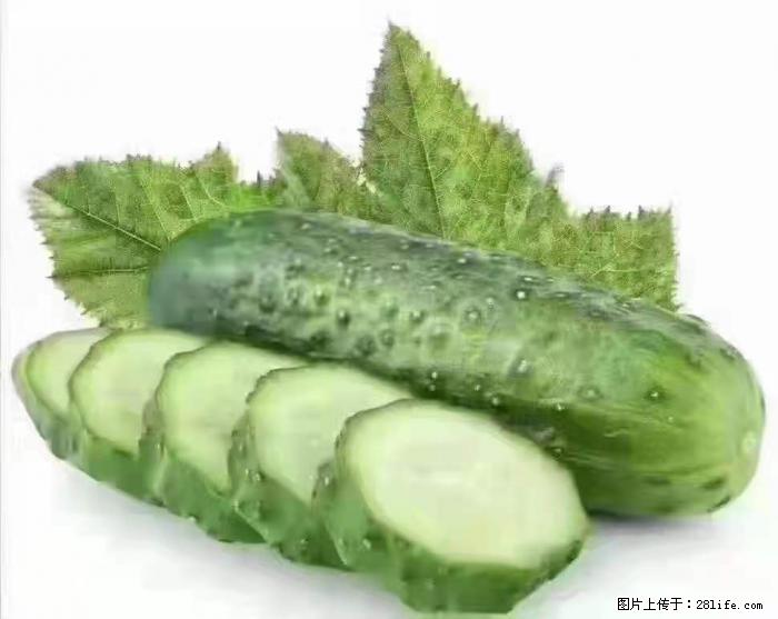 【生活小常识】吃黄瓜的好处 - 生活百科 - 咸阳生活社区 - 咸阳28生活网 xianyang.28life.com