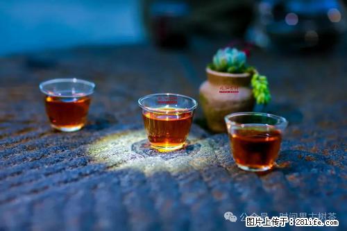 时间果百年古树2025年春红茶 - 购物交流 - 咸阳生活社区 - 咸阳28生活网 xianyang.28life.com