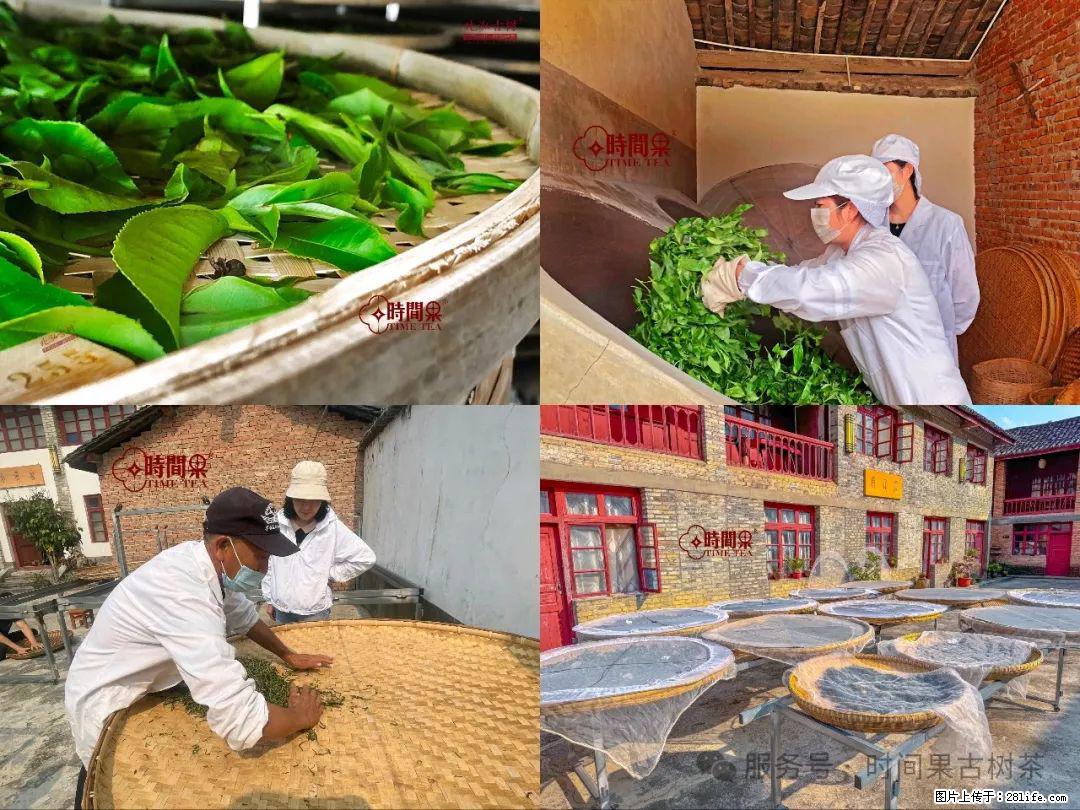 时间果百年古树龙珠普洱生茶 - 购物交流 - 咸阳生活社区 - 咸阳28生活网 xianyang.28life.com