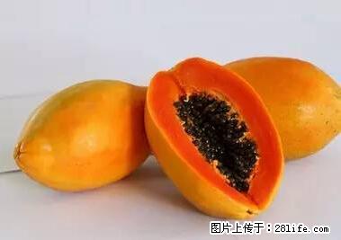 晕车、脚气、牙齿变黄、皮肤粗糙？学会这些三分钟搞定！ - 咸阳生活资讯 - 咸阳28生活网 xianyang.28life.com