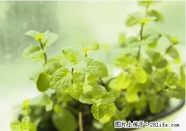 晕车、脚气、牙齿变黄、皮肤粗糙？学会这些三分钟搞定！ - 咸阳生活资讯 - 咸阳28生活网 xianyang.28life.com