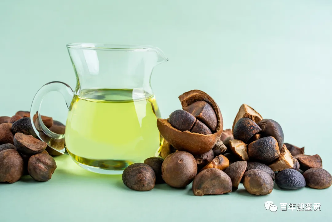 世界没有真相，只有认知，最好的食用油是中国的山茶油！ - 咸阳生活资讯 - 咸阳28生活网 xianyang.28life.com