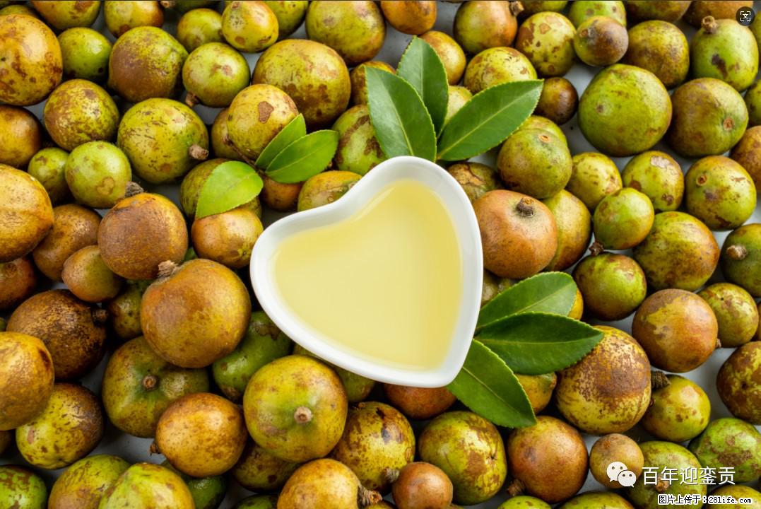 世界没有真相，只有认知，最好的食用油是中国的山茶油！ - 咸阳生活资讯 - 咸阳28生活网 xianyang.28life.com