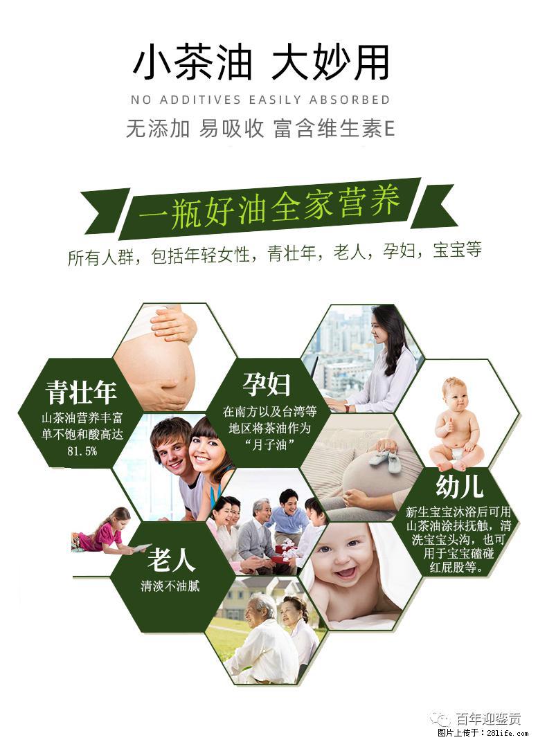 世界没有真相，只有认知，最好的食用油是中国的山茶油！ - 咸阳生活资讯 - 咸阳28生活网 xianyang.28life.com