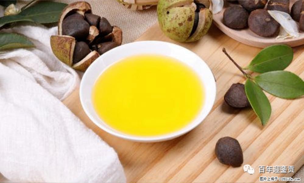 世界没有真相，只有认知，最好的食用油是中国的山茶油！ - 咸阳生活资讯 - 咸阳28生活网 xianyang.28life.com