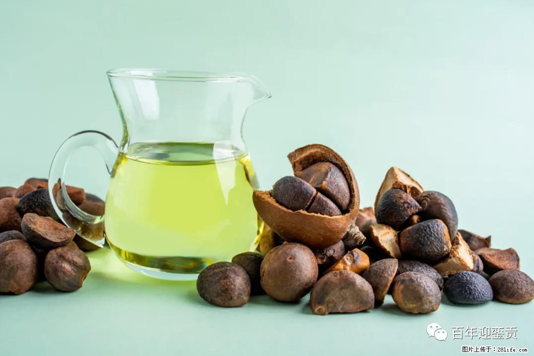 世界没有真相，只有认知，最好的食用油是中国的山茶油！ - 咸阳生活资讯 - 咸阳28生活网 xianyang.28life.com