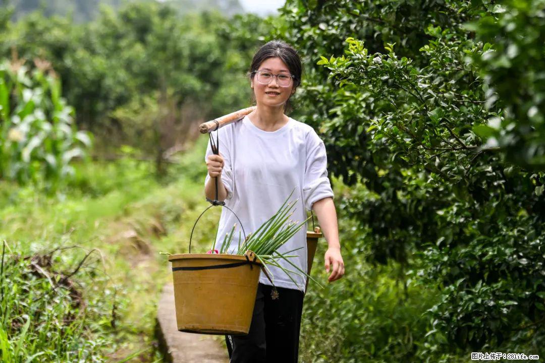 全网追的“扁担女孩”，找了一份暑假工，时薪12元 - 咸阳生活资讯 - 咸阳28生活网 xianyang.28life.com