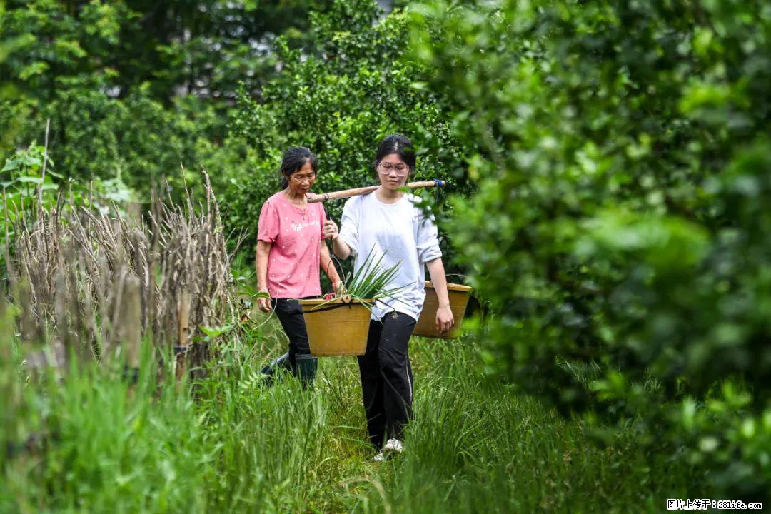 全网追的“扁担女孩”，找了一份暑假工，时薪12元 - 咸阳生活资讯 - 咸阳28生活网 xianyang.28life.com