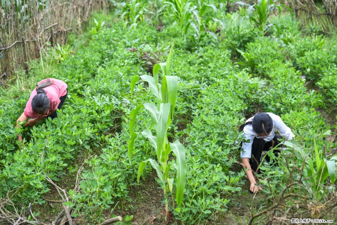 全网追的“扁担女孩”，找了一份暑假工，时薪12元 - 咸阳生活资讯 - 咸阳28生活网 xianyang.28life.com