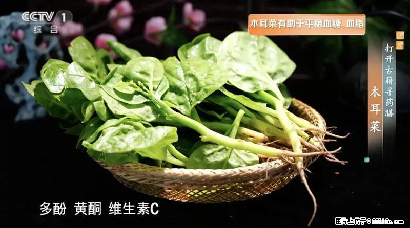 比牛奶补钙还厉害!凉血解毒、稳血糖...这菜冬天必吃,很多人却当草 - 咸阳生活资讯 - 咸阳28生活网 xianyang.28life.com