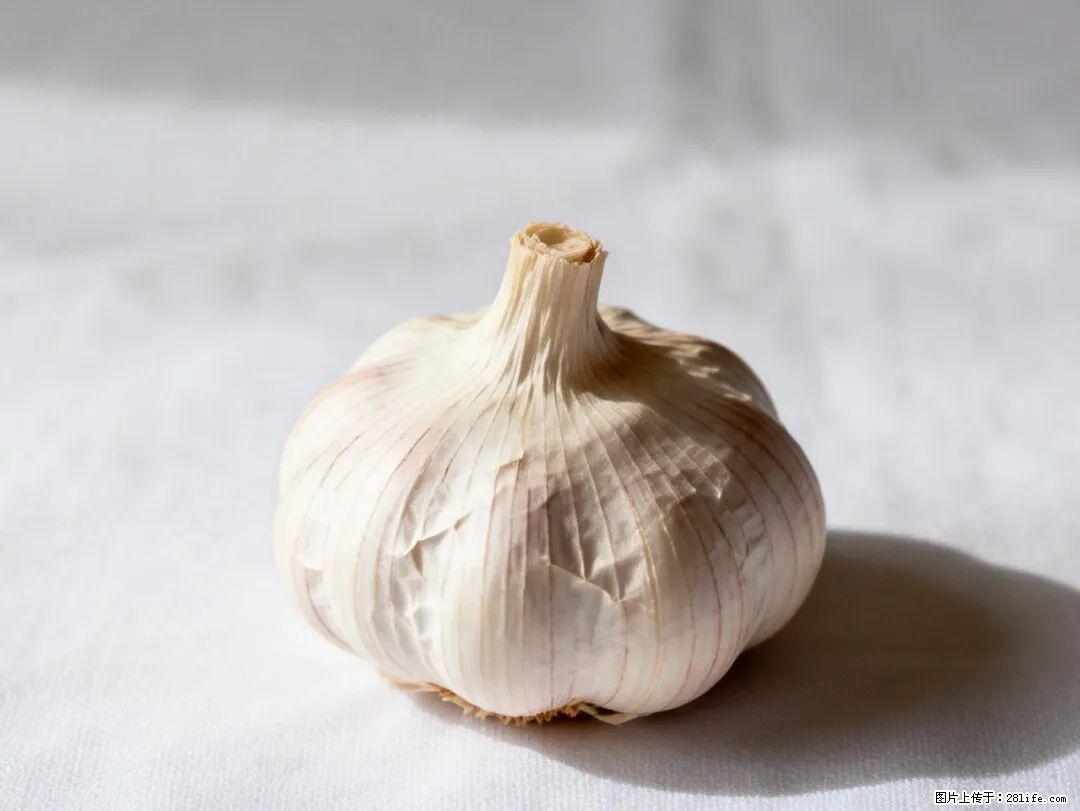 关于大蒜，除了“天然抗生素”，这4个谣言更该警惕! - 咸阳生活资讯 - 咸阳28生活网 xianyang.28life.com