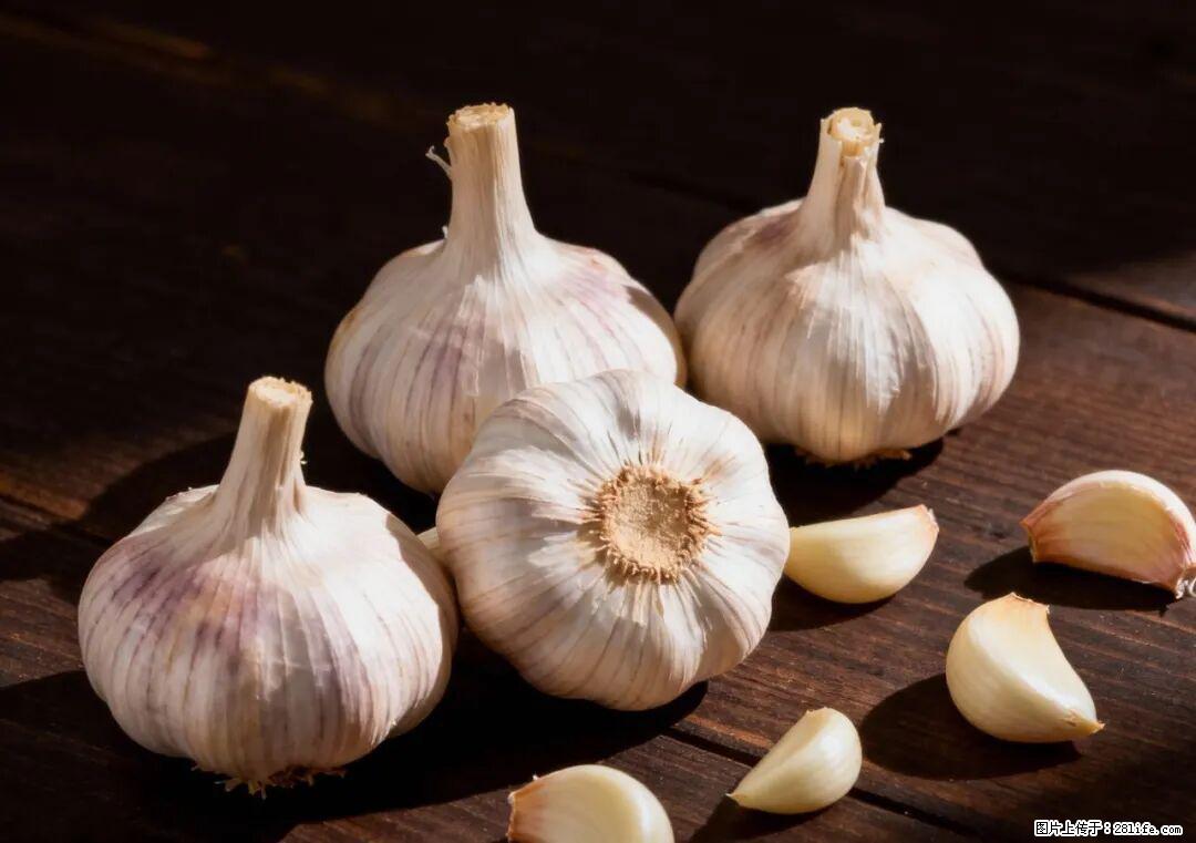 关于大蒜，除了“天然抗生素”，这4个谣言更该警惕! - 咸阳生活资讯 - 咸阳28生活网 xianyang.28life.com