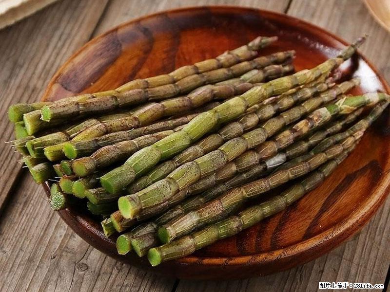 铁皮石斛的作用与功能主治 - 咸阳生活资讯 - 咸阳28生活网 xianyang.28life.com